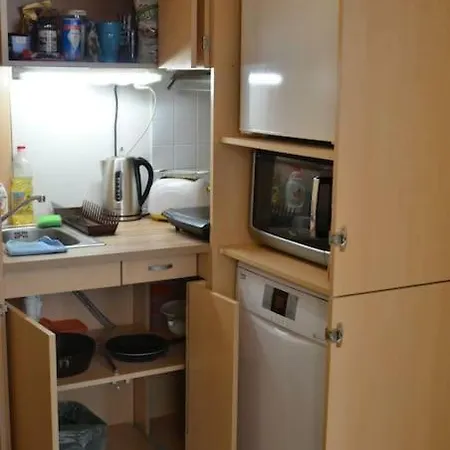 Apartment Center, 2+1 Rooms, 1, Walk To Wenceslas Square *
